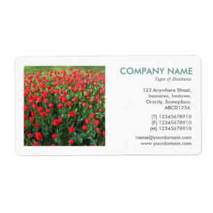 Etiqueta Foto cuadrada - Cama de tulipanes rojos