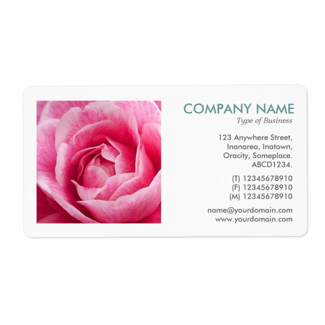 Etiqueta Foto cuadrada - Camelia (Frente)