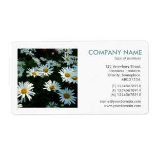 Etiqueta Foto cuadrada - Shasta Daisies