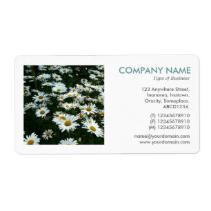 Etiqueta Foto cuadrada - Shasta Daisies II