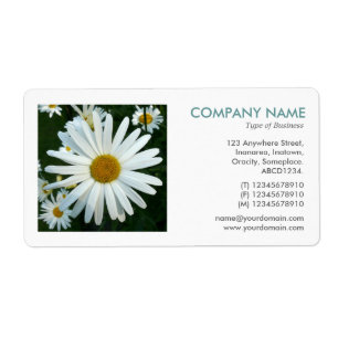 Etiqueta Foto cuadrada - Shasta Daisy