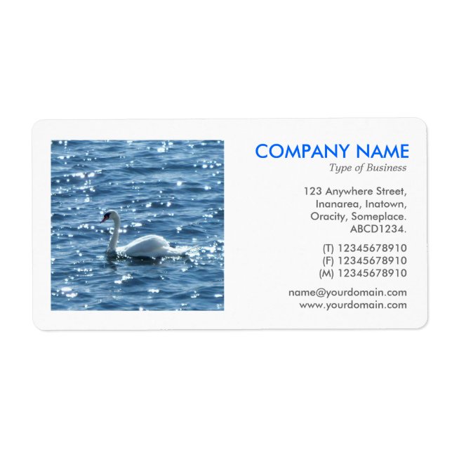 Etiqueta Foto cuadrada - Swan (Frente)