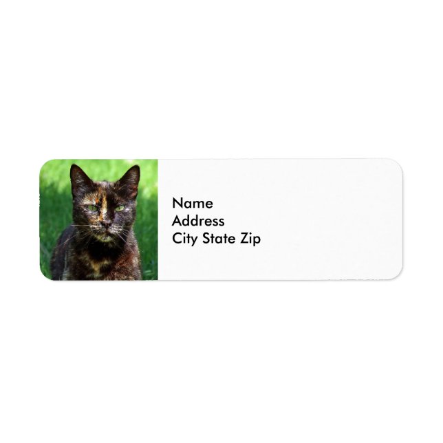 Etiqueta Foto de Cute Brown Tortoiseshell Cat (Frente)