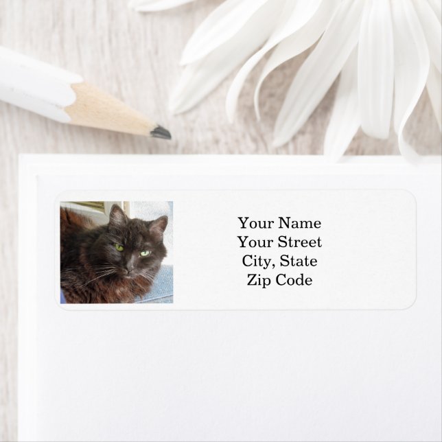 Etiqueta Foto de gato personalizada