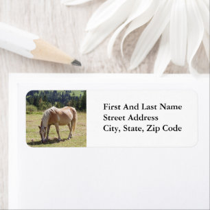 Etiqueta Foto de Haflinger Palomino Pony en Pastel de Veran