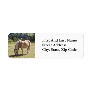 Etiqueta Foto de Haflinger Palomino Pony en Pastel de Veran