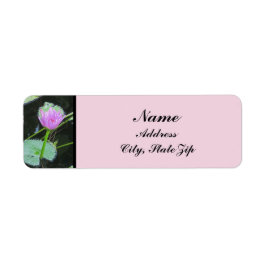 Etiqueta Foto de Lily Water Hermosa Bloom Púrpura Rosa