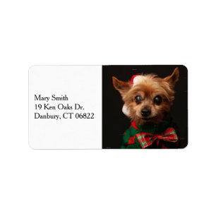 Etiqueta Foto de mascota personalizada con estilo navideño