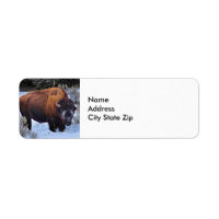 Foto de nieve de búfalo