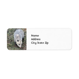 Etiqueta Foto de Opossum