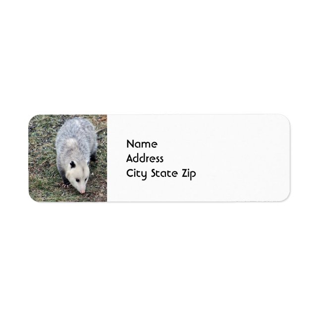 Etiqueta Foto de Opossum (Frente)
