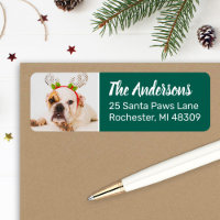 Foto de perro verde festivo Dirección de devolució