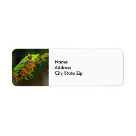 Etiqueta Foto de Rana de Árbol Ojo Rojo