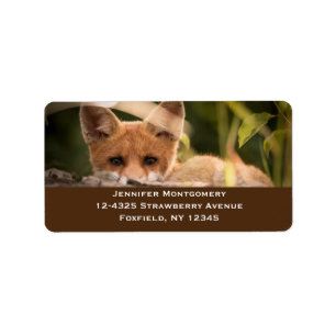 Etiqueta Foto de un Pequeño Naranja Fox