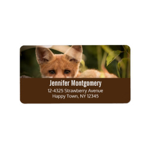Etiqueta Foto de un Pequeño Naranja Fox