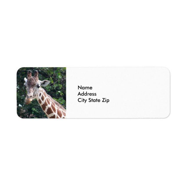 Etiqueta Foto de Wildlife Giraffe (Frente)