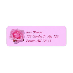Etiqueta Foto recortada de rosa rosa