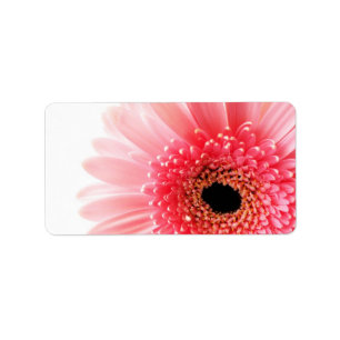 Etiqueta Fotografía de Gerbera Daisy Rosa Fresca