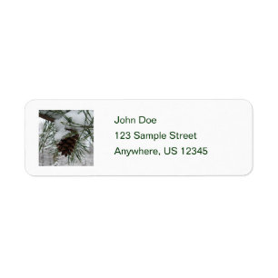 Etiqueta Fotografía de la naturaleza del invierno de la ram