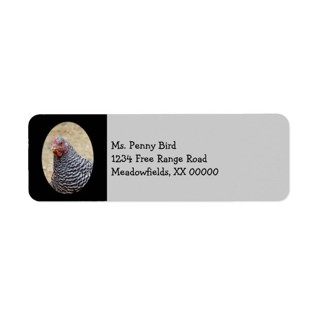 Etiqueta Fotografía de Plymouth Barred Rock Hen (Frente)