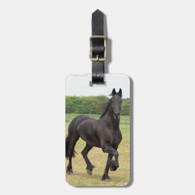 Etiqueta frisia del equipaje del caballo (Frente Vertical)