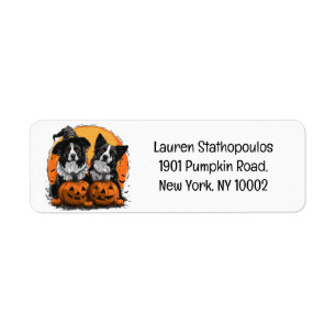 Etiqueta Frontera Collie Perros Halloween Jack O Lanterns