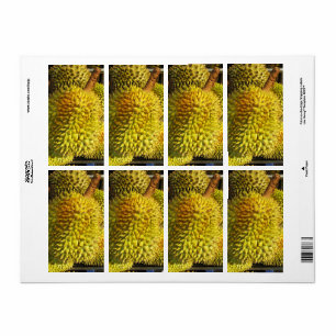 Etiqueta Fruta duriana