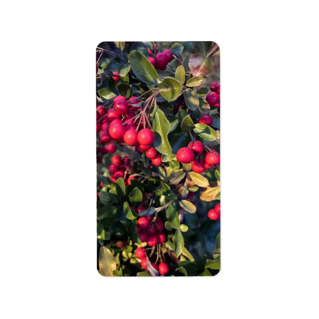 Etiqueta Frutos del otoño (Frente)