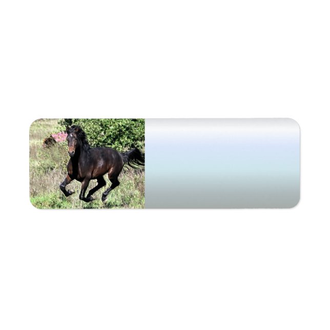 Etiqueta Galloping Chestnut Horse (Frente)
