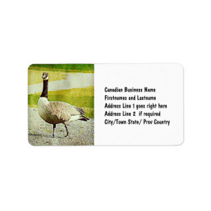 Etiqueta Ganso de Canadá - efecto pintado acuarela