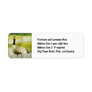 Etiqueta Ganso de Canadá - efecto pintado acuarela