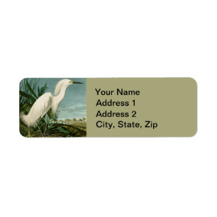 Etiqueta Garza Blanca de Audubon Ave Birding