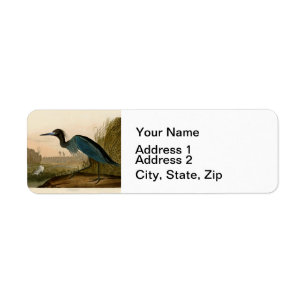 Etiqueta Garza Grulla Azul Impresión de Audubon Arte Coster