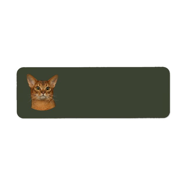 Etiqueta gatito abisal (Frente)