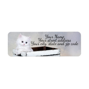 Etiqueta Gatito persa blanco