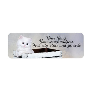 Etiqueta Gatito persa blanco