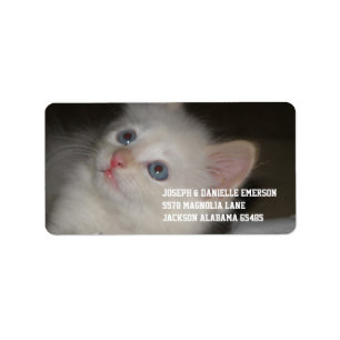 Etiqueta Gatito preciado