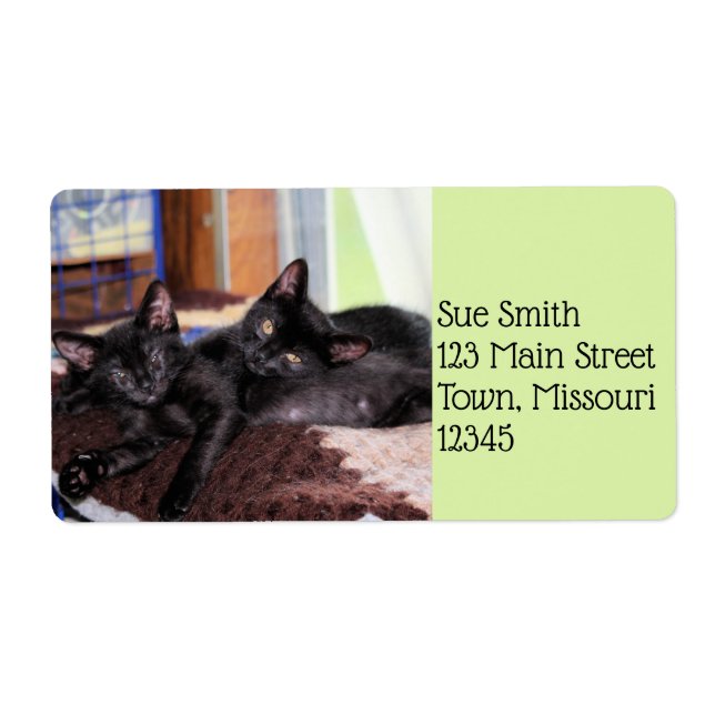 Etiqueta Gatitos (Frente)