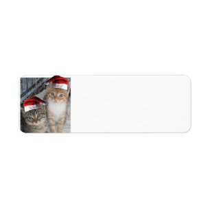 Etiqueta Gatitos guapos con Gorras de Santa Claus