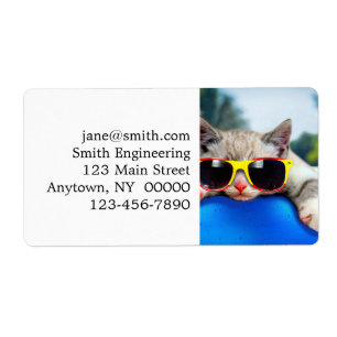 Etiqueta Gato con gafas de sol relajándose en el colchón de