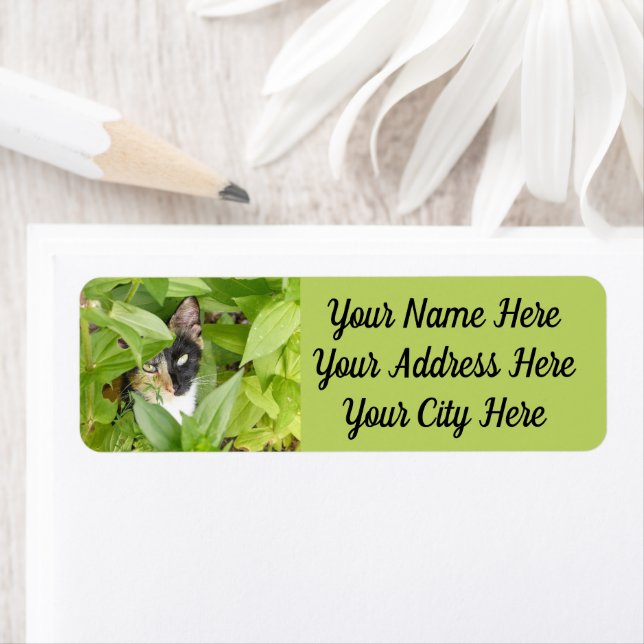 Etiqueta Gato de Calico en las Zinnias (In situ)