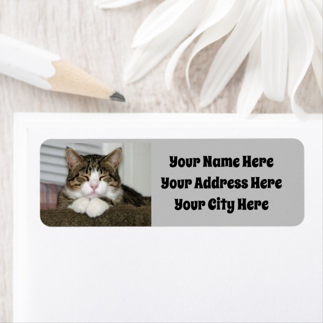 Etiqueta Gato de corte (In situ)