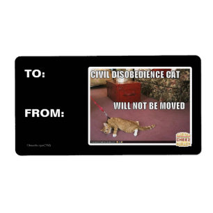 Etiqueta Gato de desobediencia civil