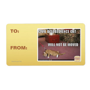 Etiqueta Gato de desobediencia civil