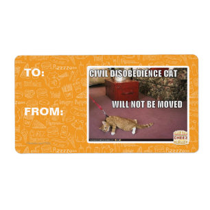 Etiqueta Gato de desobediencia civil