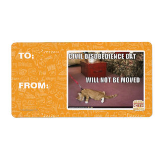 Etiqueta Gato de desobediencia civil