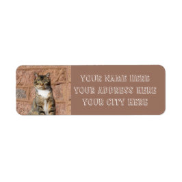 Etiqueta Gato de iglesia