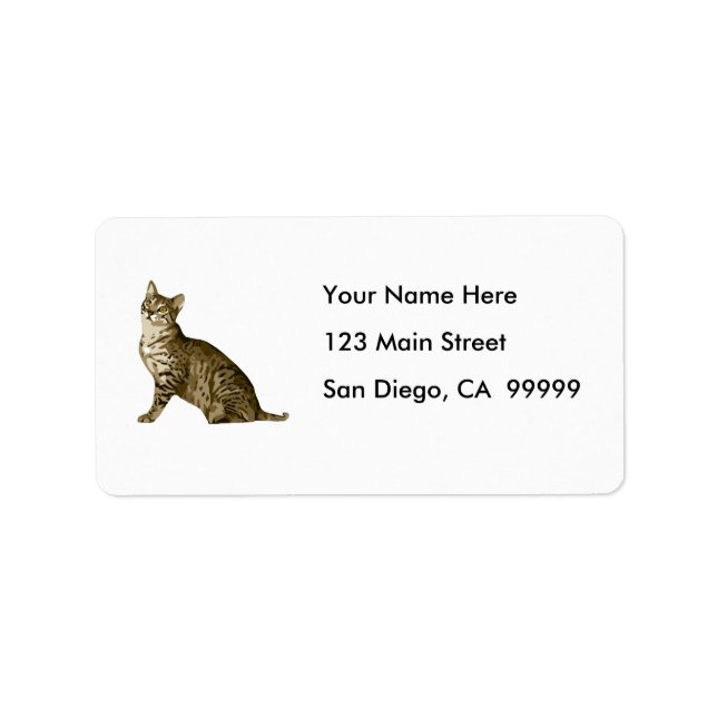 Etiqueta Gato de Tabby Brown (Frente)