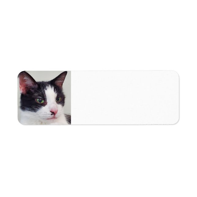 Etiqueta Gato de Tuxedo (Frente)