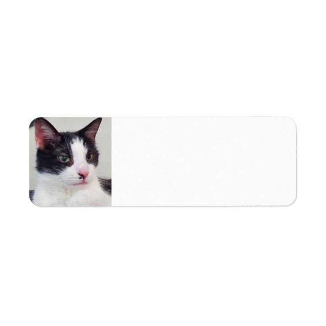 Etiqueta Gato de Tuxedo (Frente)